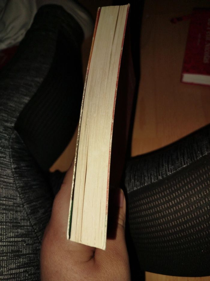 Roman nouvelle - photo numéro 4