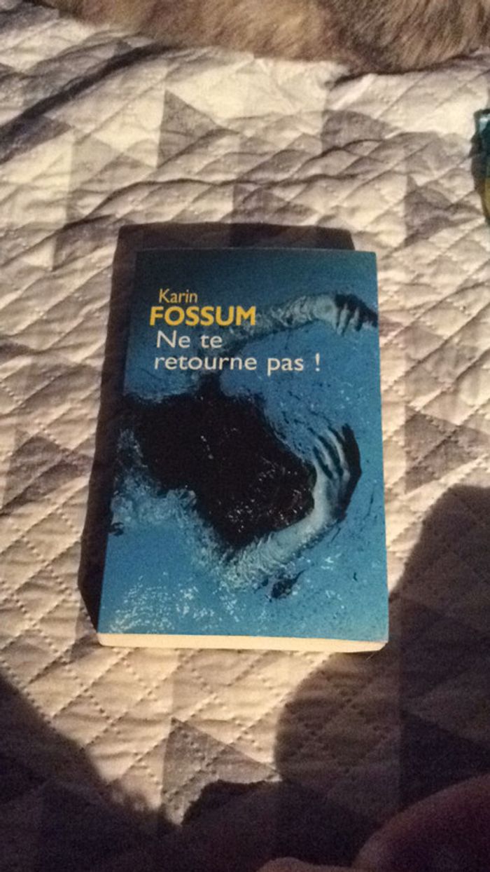 #ne te retourne pas par Karim Fossum - photo numéro 2