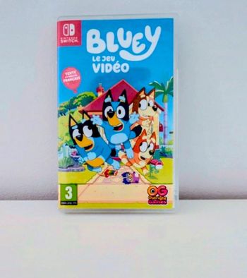 Bluey Switch
