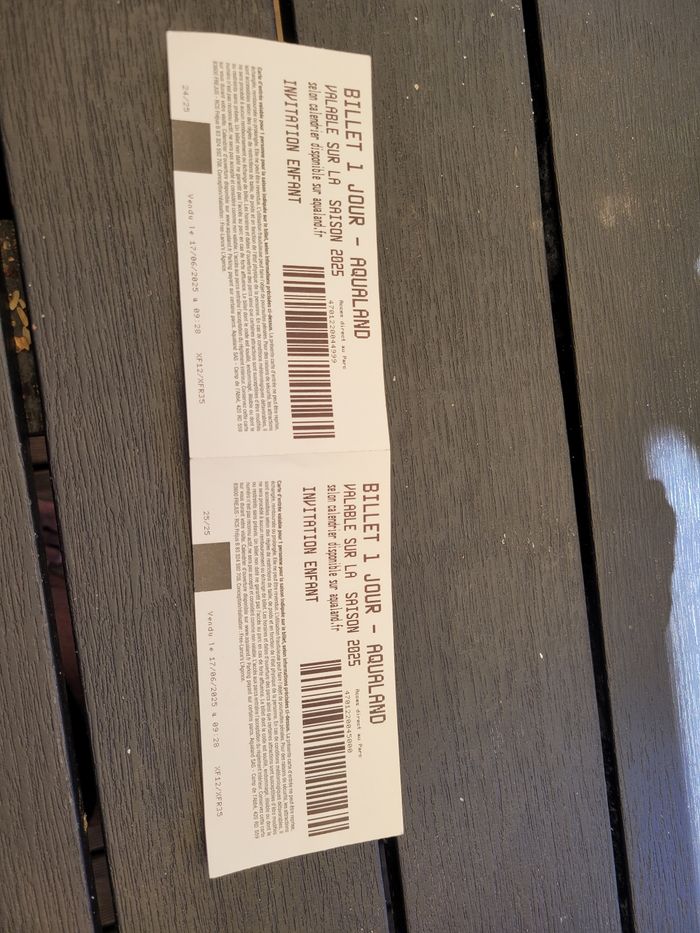 Billets Enfant 1 jour AQUALAND 2025 - photo numéro 2