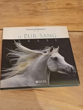 Le pur sang arabe