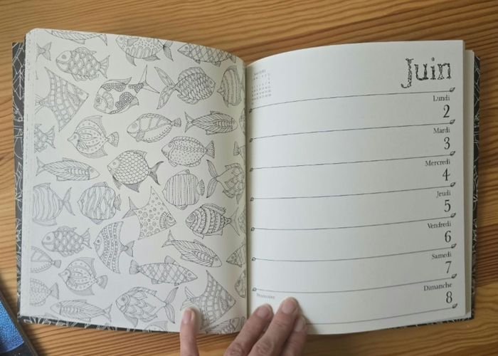 Agenda a colorier - photo numéro 4