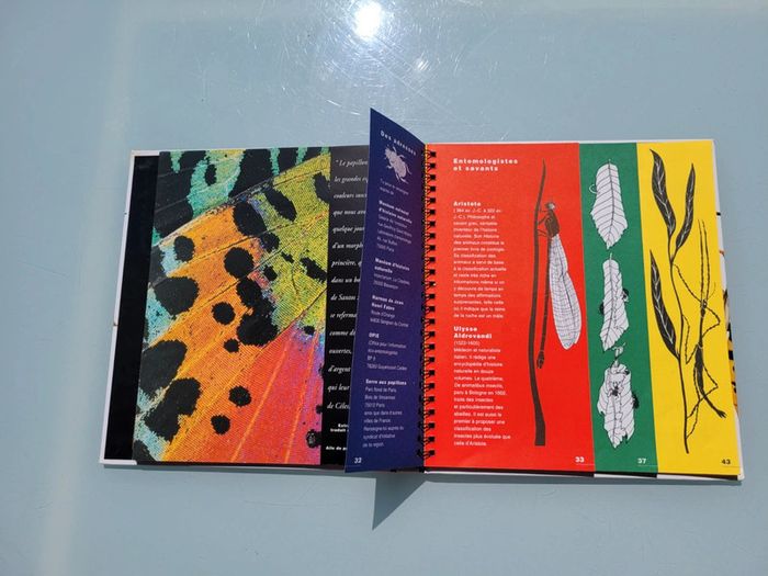 🦗 Mille Milliards d'insectes 🪳livre animé Gallimard Jeunesse (73) - photo numéro 16