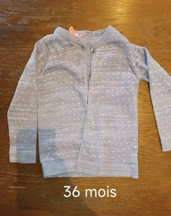 Gilet paillettes