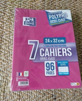 Lot 7 cahiers 96 pages Oxford 34x32 cm