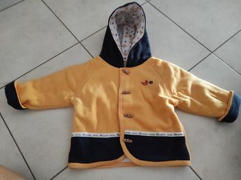 Manteau polaire
