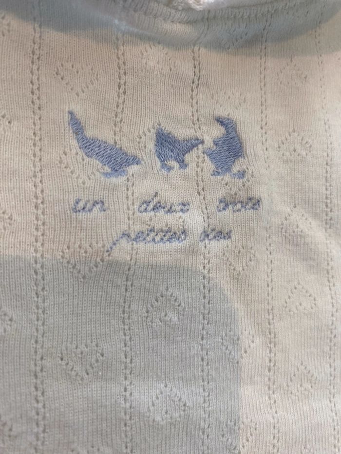 Body 1 an - photo numéro 5