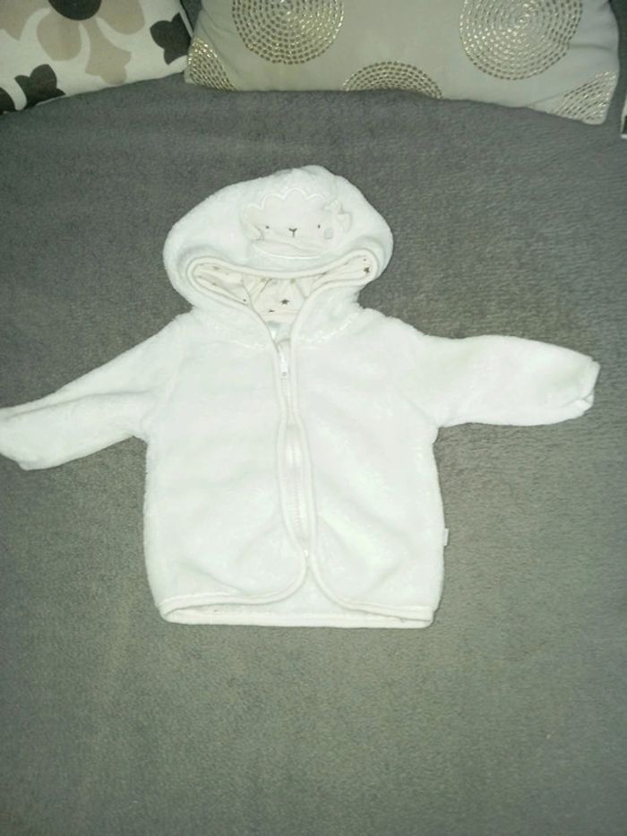 Ensemble complet - photo numéro 4