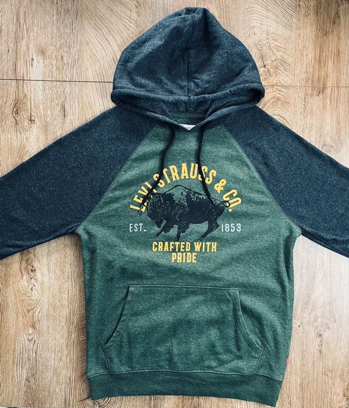 Pull/sweat à capuche vert et gris Levi Strauss & Co spour homme, taille S - photo numéro 2