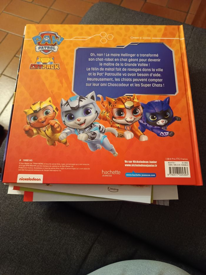 La pat patrouille rencontre les super chats - photo numéro 2