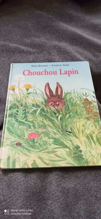 Livre chouchou lapin