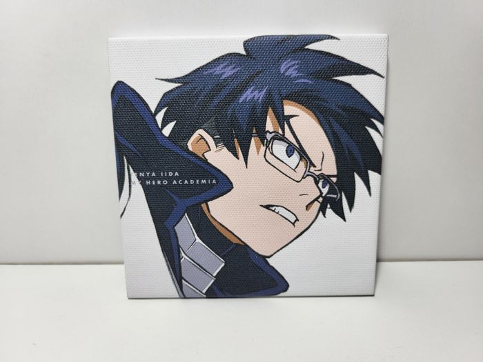 My Hero Academia Petit Cadre lida