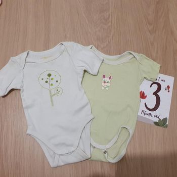Lot de 2 bodies manche courte taille 3 mois