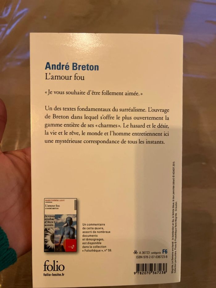 Livre l’amour fou - photo numéro 2