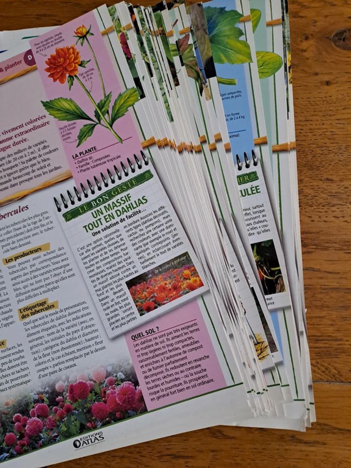 Fiches Atlas sur les plantes - photo numéro 2