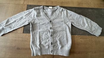 Gilet gris 