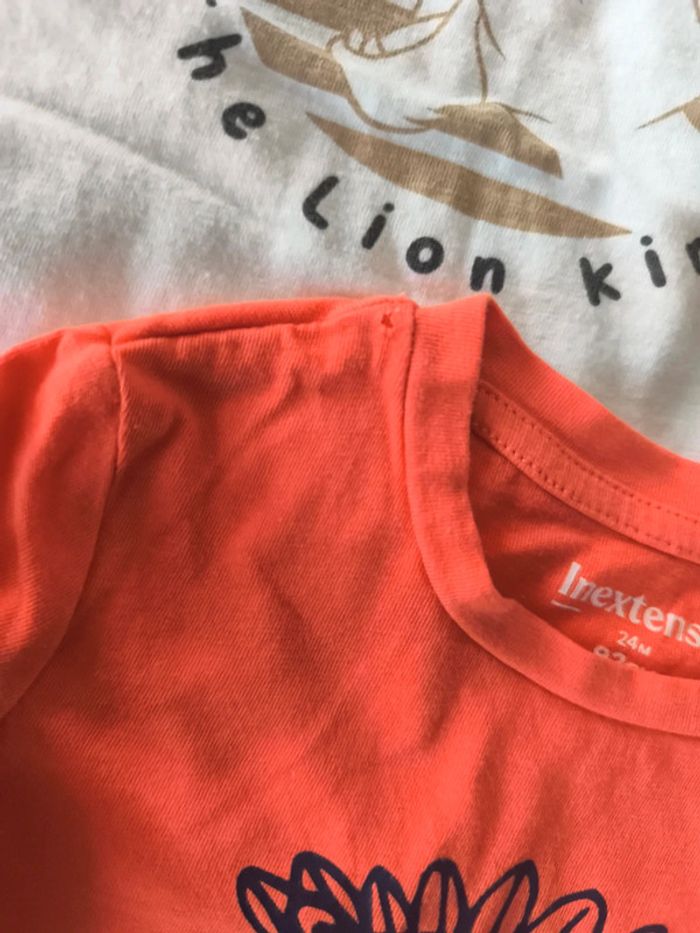 Lot tee shirt  24 mois - photo numéro 4