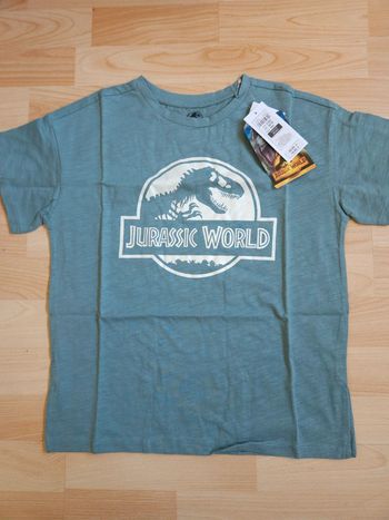 Tee-shirt jurassic Word 9-10 ans
