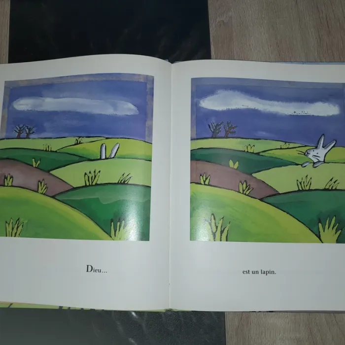 album cartonné école des loisirs - Dieu est un lapin - photo numéro 2