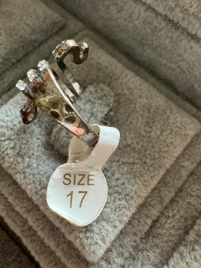 Bague acier chirurgical - photo numéro 2