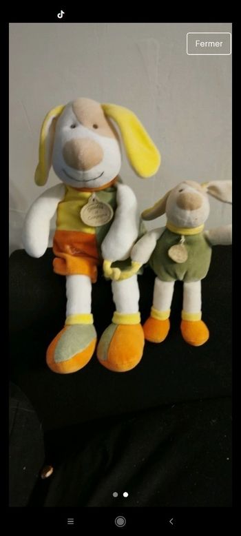 2 chiens doudou et compagnie