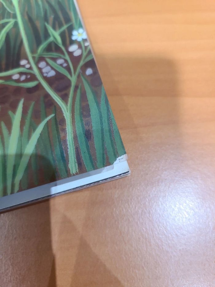 Cache cache le monde sous terre - photo numéro 8