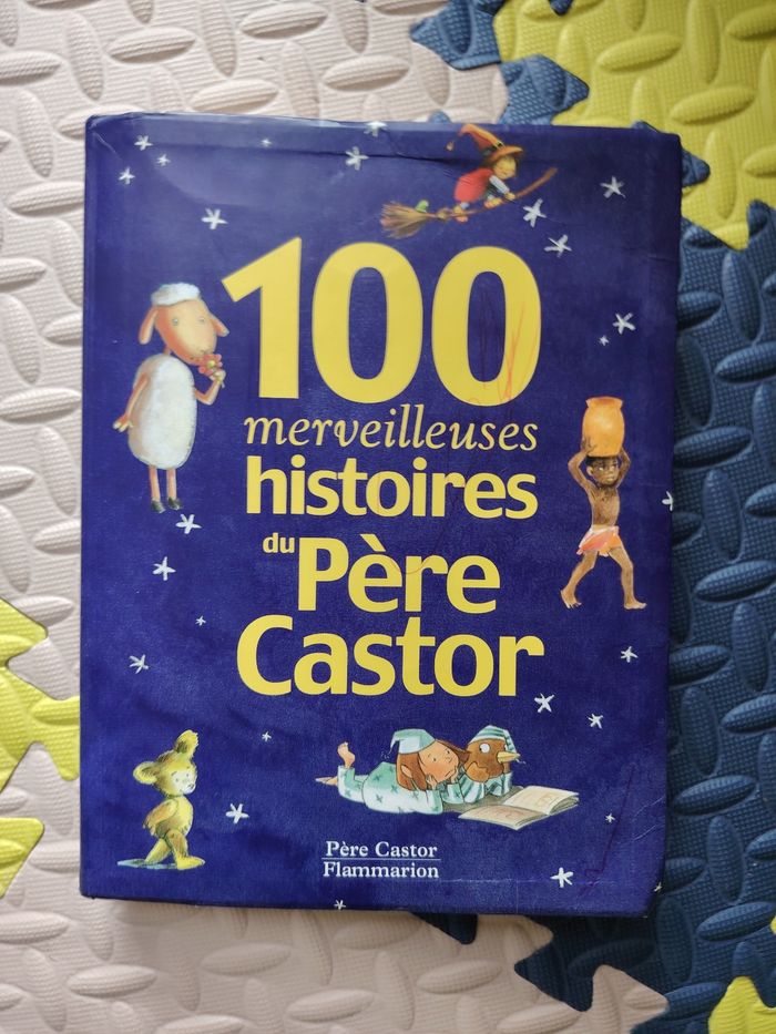 Livre d'histoire - photo numéro 1