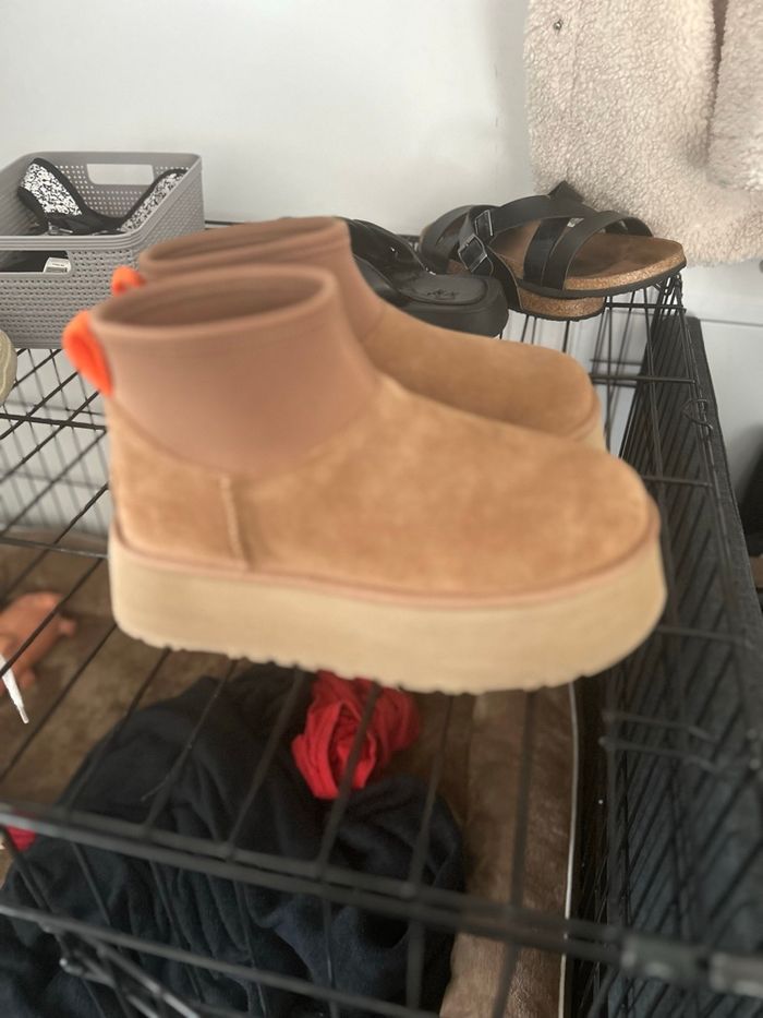 Ugg camel - photo numéro 3