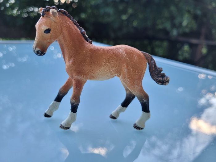 Lot de 3 Poulains Scheich : un beige, 1 brige et noir et 1 marron et blanc - photo numéro 5