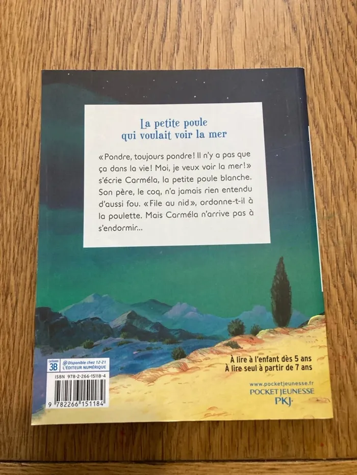 La petite poule qui voulait voir la mer - photo numéro 2