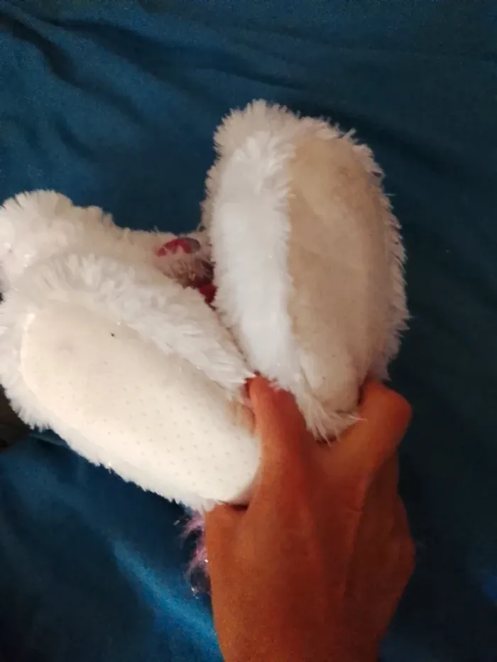 Chaussons 22/23 - photo numéro 6