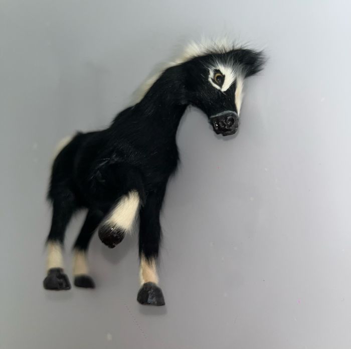 Petit cheval - photo numéro 3