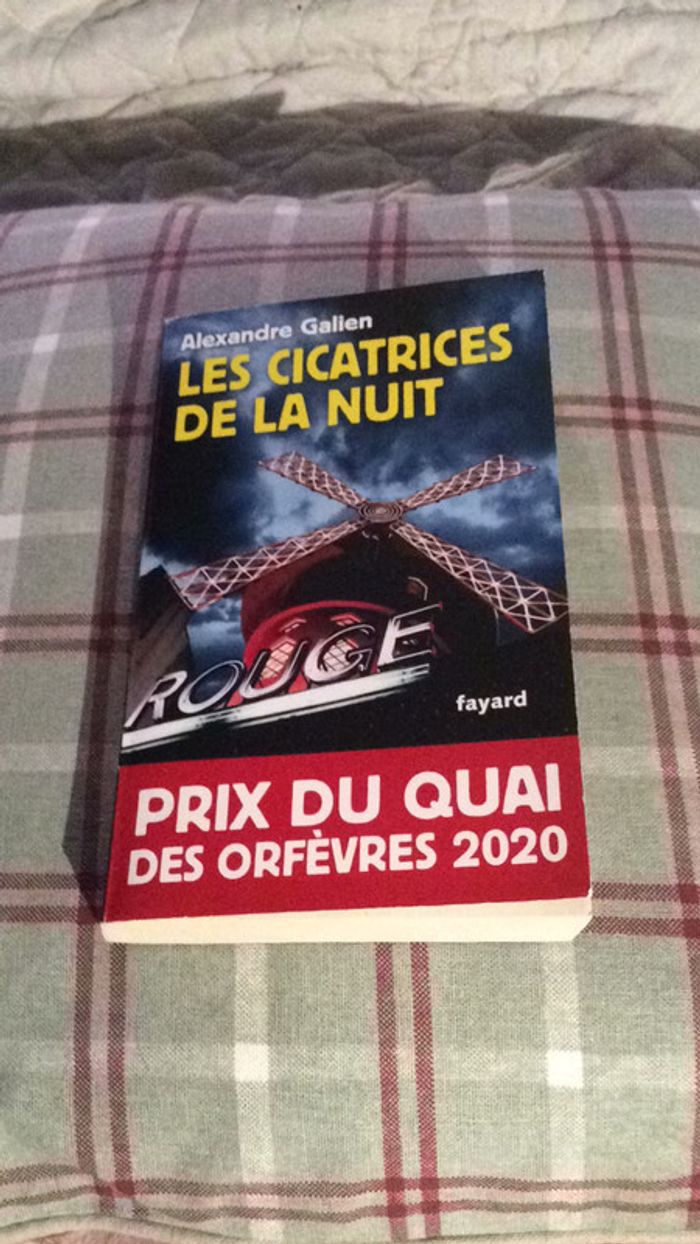 #les cicatrices de la nuit par Alexandre Galien - photo numéro 2