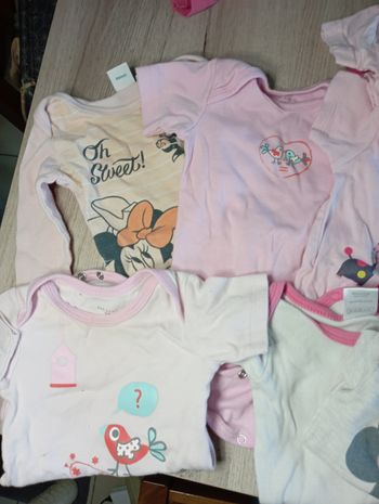 Lot de bodies 6mois