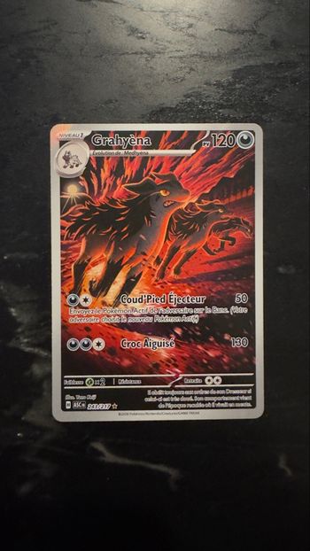 Pokémon - Grahyèna AR 243/217 NM ME2.5