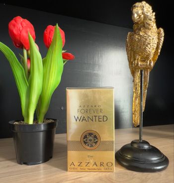 Parfum Azzaro