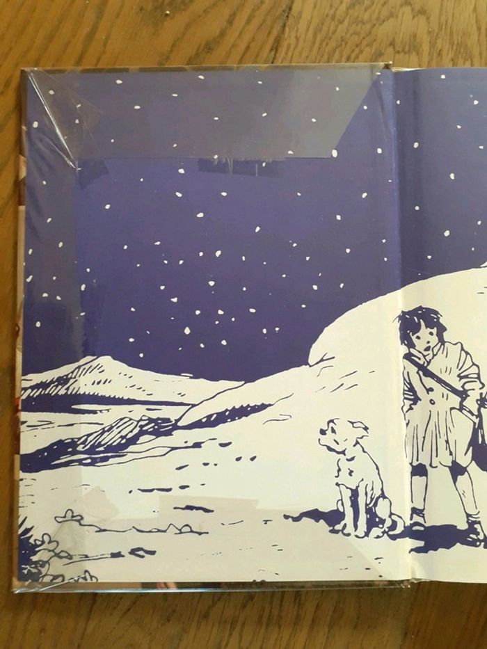 BD Les Aventures De La Petite Annie - Les Naufrages De L'ile Rouge - photo numéro 6