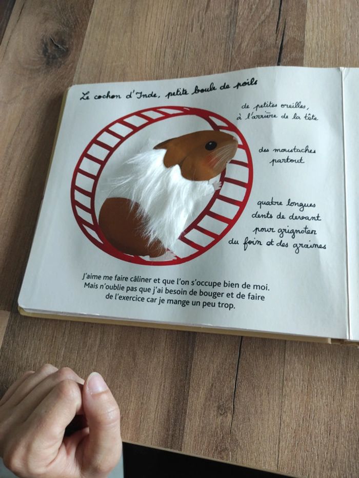 Livre : Mes animaux familiers à toucher - photo numéro 11