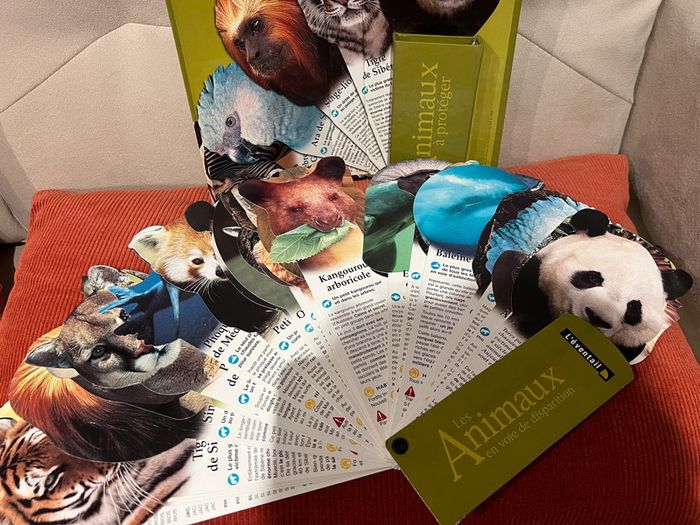 Livre éventail animaux - photo numéro 5