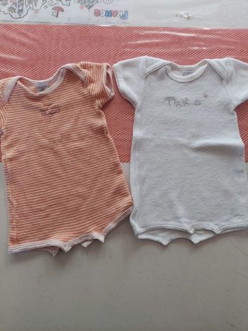 Lot de 2 body eponge 6mois petit bateau