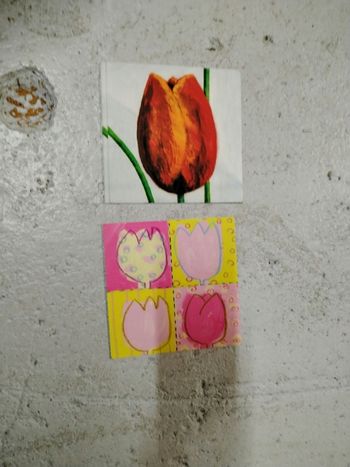 Carte postale Collection Natura