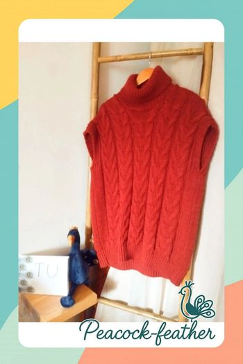 Pull col roulé terracotta TU