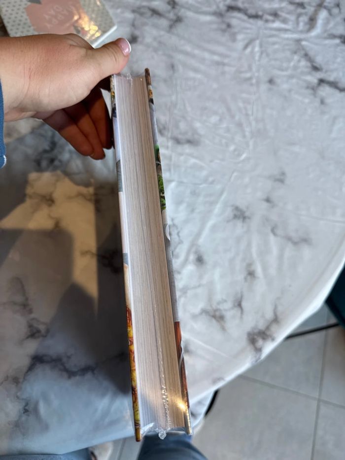 Livre recettes végétariennes thermomix - photo numéro 3