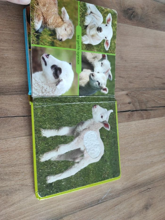 Regarde et touche ! - photo numéro 8