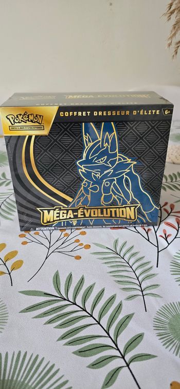 ETB méga évolution