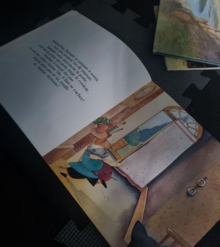 Livre enfant (Barnabé veut lire !) Dès 5ans - photo numéro 6