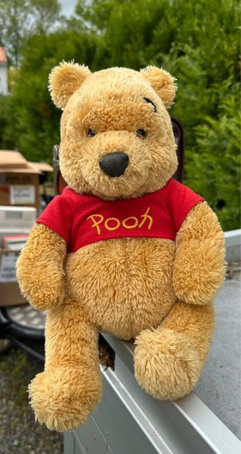Peluche Winnie l’Ourson Disney Store – édition spéciale fils dorés