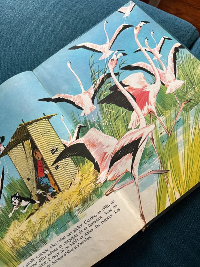 1970 Livre ancien Caroline et l’ours de Camargue Pierre Probst auteur Caroline albums Hachette - photo numéro 4