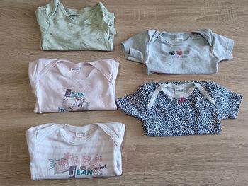 C44 Lot bodies absorba 18 mois