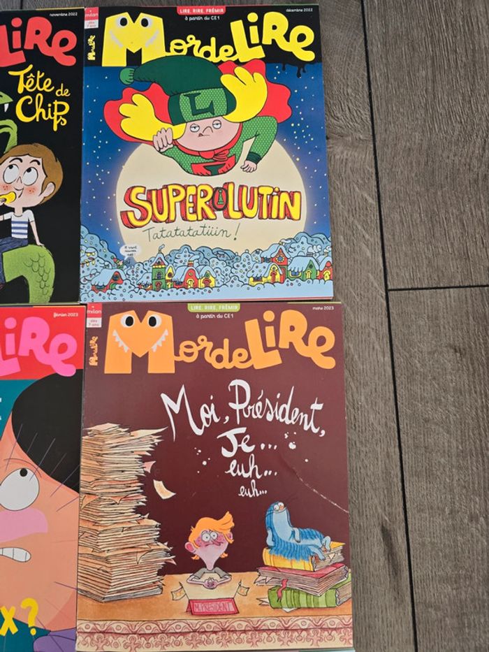 11 livres Mordelire - photo numéro 3